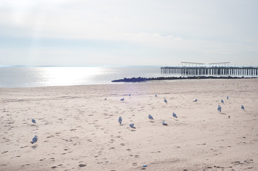 Coney island beach New York.