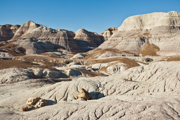 Petrified Forest National Park, Blue Mesa, AZ, USA