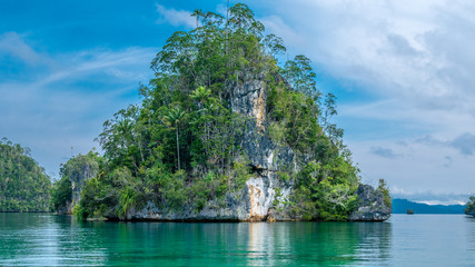 Fototapeta na wymiar Huge Triangle Rock overgrown with Palmtrees in Hidden Bay on Gam Island near Kabui and Passage. West Papuan, Raja Ampat, Indonesia