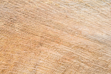 fiber coconut