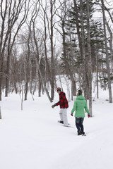 Fototapeta na wymiar Couple walking on snow