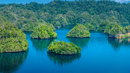 Many Rocks covered by Palmtrees in Passage between Gam and Waigeo, View Point near Warikaf...