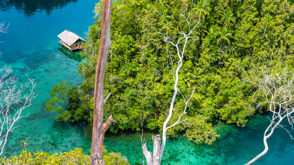 Bamboo Hut in Mangrove near Warikaf Homestay, Kabui Bay and Passage. Gam Island, West Papuan, Raja...