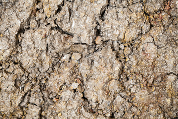 Soil texture