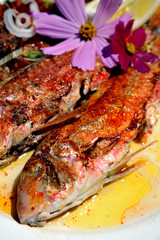 poisson