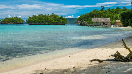 Beautiful Blue Lagoone with some Bamboo Huts, Kordiris Homestay, Palmtree in Front, Gam Island, West Papuan, Raja Ampat, Indonesia