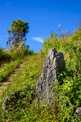 Doi Pha Tang viewpoint ,Chiang Rai province in Thailand.  beauti