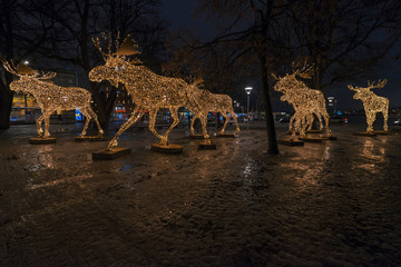 Group of Christmas moose made of led lights at Nybrokajen