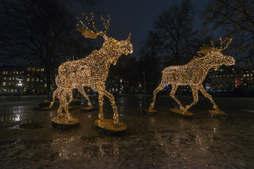 Group of Christmas moose made of led lights at Nybrokajen