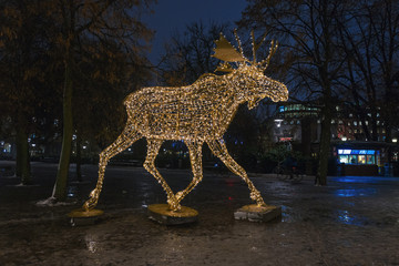 Group of Christmas moose made of led lights at Nybrokajen