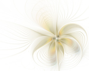 Abstract delicate flower on a white background