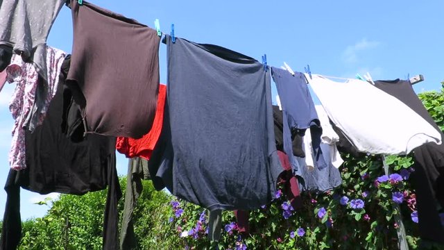 clothesline with colorful shirts and adult and baby clothes in green garden exterior
