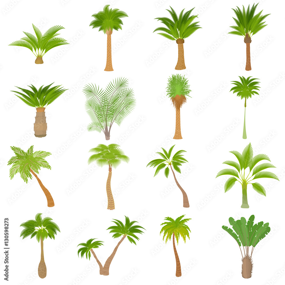 Aufkleber different palm trees icons set. cartoon illustration of 16 different palm trees vector icons for web