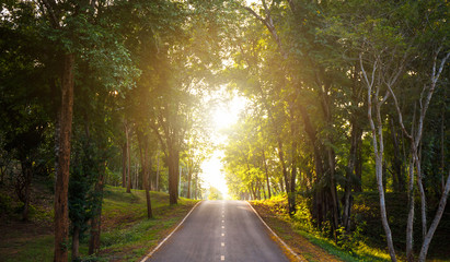 Fototapeta na wymiar forest road trees along at the country side in thailand