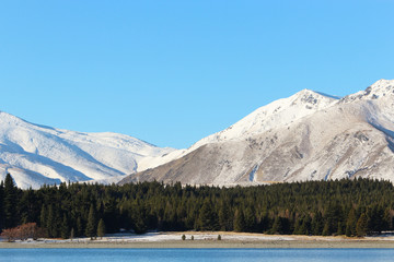Obraz premium Snow covered mountains with forest