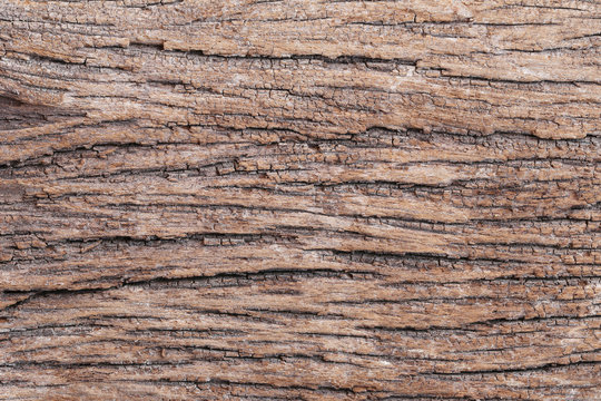 Old wood texture.