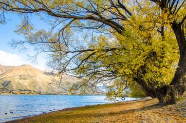 Beautiful autumn landscape Lake Wanaka in New Zealand.