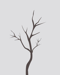 dry tree with out leafs vector branches