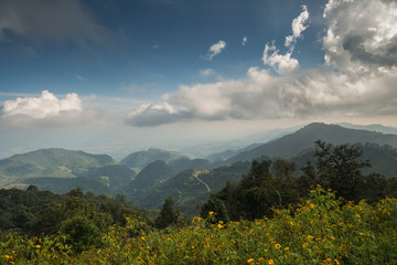 Fototapeta premium View of moutain in the north of Thailand. Doi Angkhang, Chiangmai,Thailand. 
