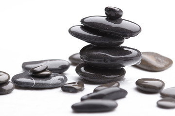 sea stones