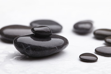 sea stones