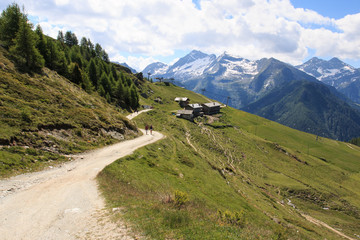 Fototapeta na wymiar sentiero per i laghi Palasinaz - valle d'Aosta