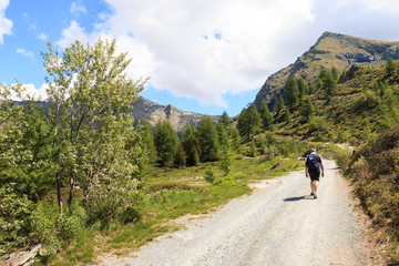 Fototapeta na wymiar sentiero per i laghi Palasinaz - valle d'Aosta