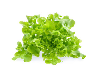Fototapeta na wymiar Fresh Green oak lettuce isolated on white background