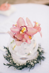 Fototapeta na wymiar wedding bouquet and flower decoration