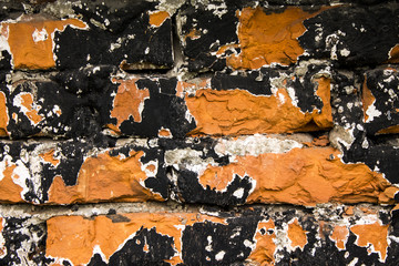 Fototapeta premium Old painted Brick wall texture background