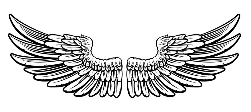 Pair of Etched Wings
