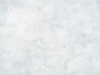 White snowflakes in the bitter cold macro. Abstract winter background.