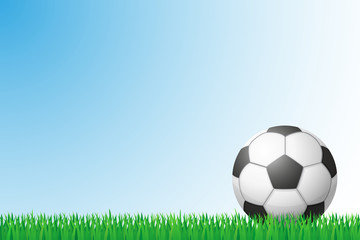 soccer grass field vector illustration
