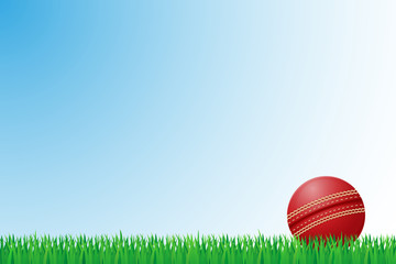 cricket grass field vector illustration