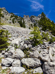 wildness - füssen - germany