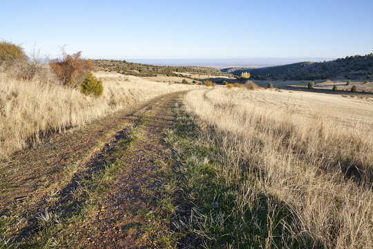 Camino de la Pililla en Pinto. Madrid