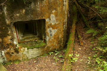 Abandoned bunker hidden deep in the forest. Sumava National park - Bohemian Forest, Czech Republic
