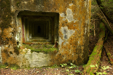 Abandoned bunker hidden deep in the forest. Sumava National park - Bohemian Forest, Czech Republic