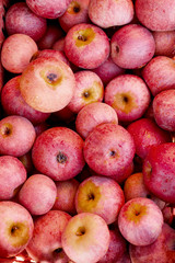 Italian typical apples