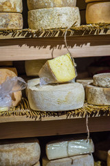 round pieces of cheese on a wooden counter