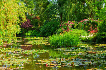 Fototapety  Giverny, ogród wodny na wiosnę