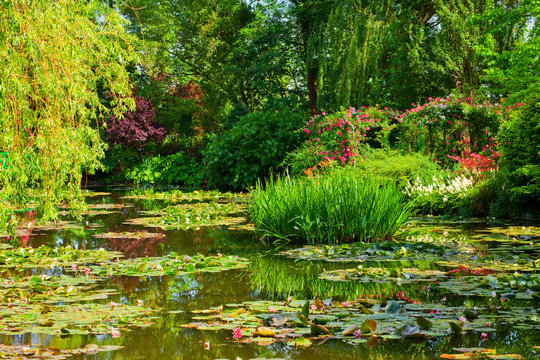 giverny, jardin d'eau au printemps