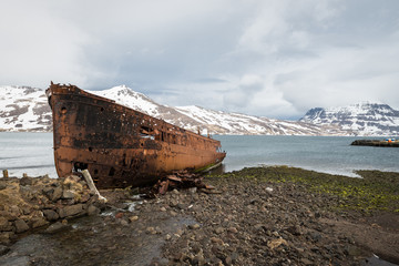 Fototapeta na wymiar A massive shipwreck at the Icelandic coast