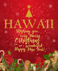 Hawaii Merry Christmas and a Happy New Year greeting vector card on red background with snowflakes.