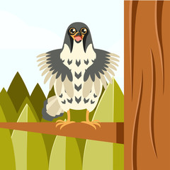 Happy Falcon on the Tree flat background