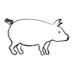 Pork icon. Animal farm life nature and fauna theme. Isolated design. Vector illustration