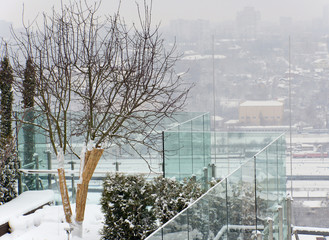 Kiev winter,  garden on the roof of a skyscraper