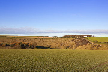 Fototapeta premium yorkshire wolds wooded valley