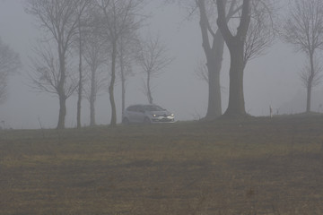 Cars in the fog