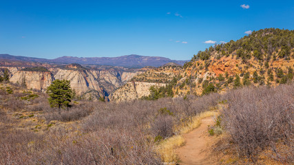 The rays of the sun illuminate the canyon. The narrow path among the dry grass toward the canyon. Scenic view of the canyon. Zion National Park, Utah, USA